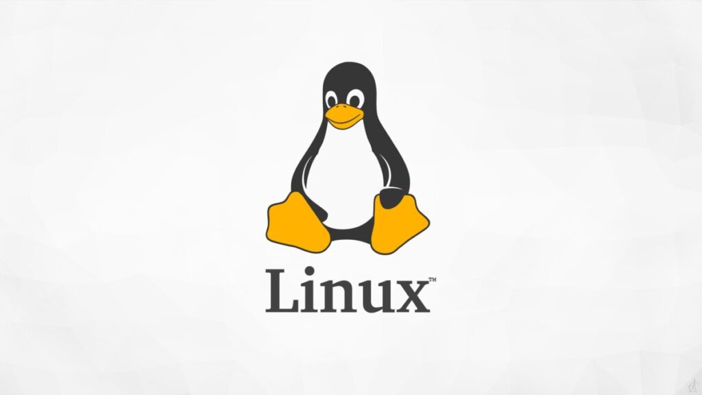 Il gaming è anche su Linux: in un anno +65% secondo Steam