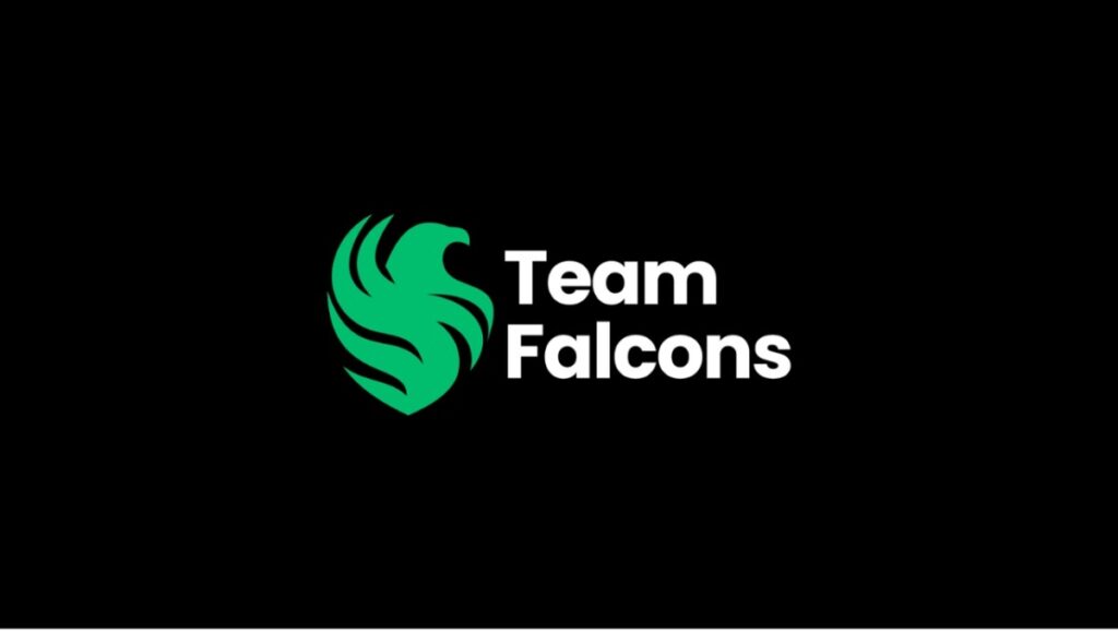 Team Falcons とは？