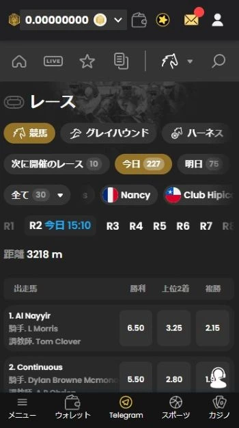 海外競馬 ブックメーカー