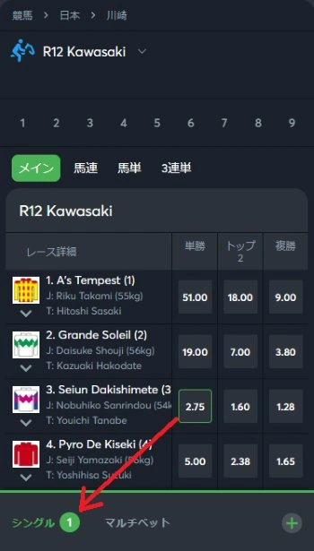 ブックメーカー 競馬 賭け方