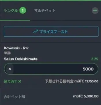 ブックメーカー 競馬 買い方