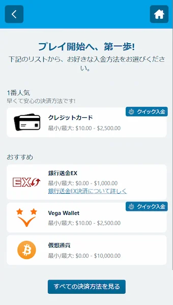 クレジットカード オンラインカジノ 日本