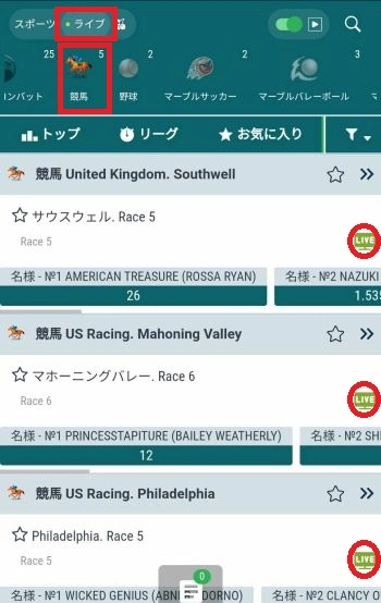 ブックメーカー 競馬 視聴