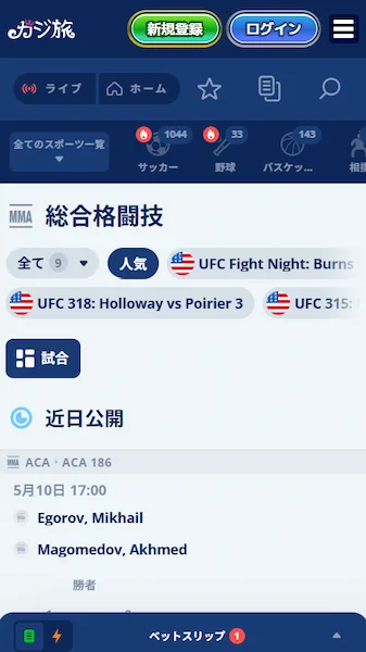 格闘技 賭け 日本