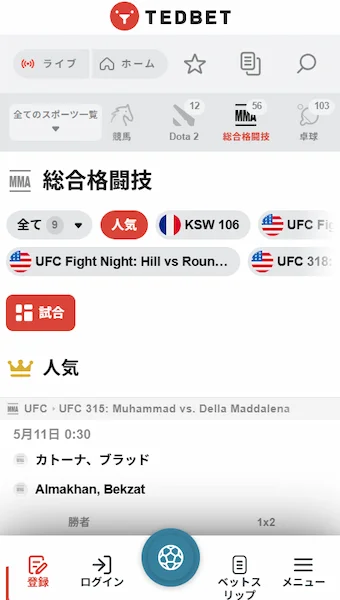ブックメーカー 総合格闘技