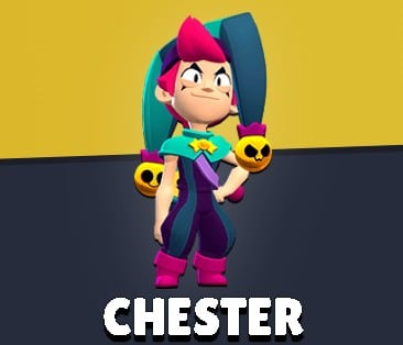 Chester Brawler