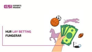 Vad är ett lay bet? - Guide till lay betting