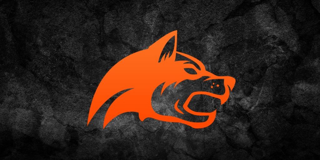 Denial Esports CEO launches esports consultancy Black Dog Gaming