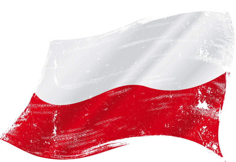 STS and Paweł ‘innocent’ Mocek start co-operation