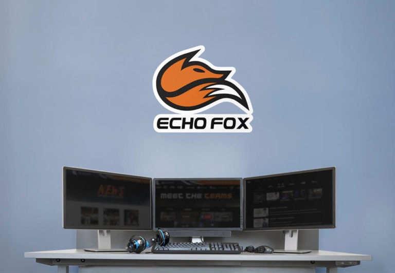 Echo Fox Fathead