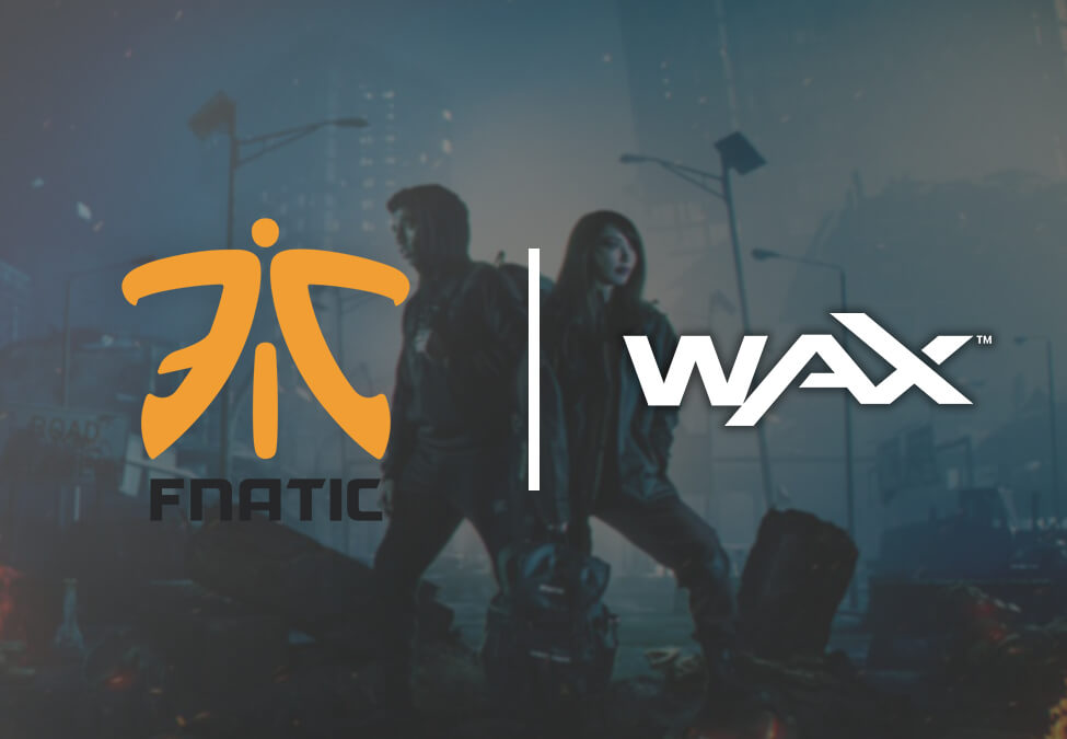 Fnatic WAX