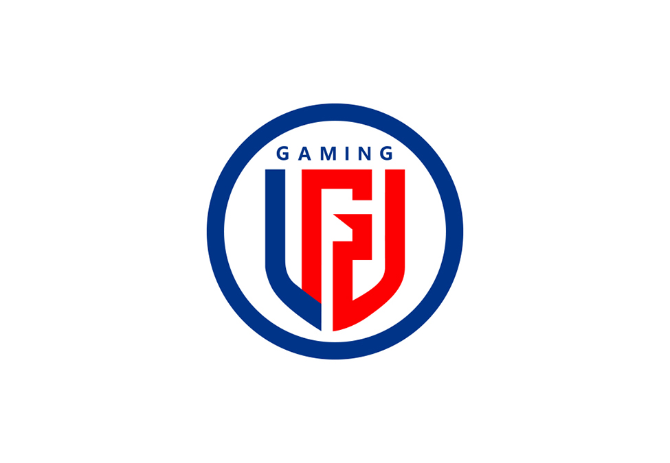 LGD Gaming unveils rebrand at 10th anniversary celebration