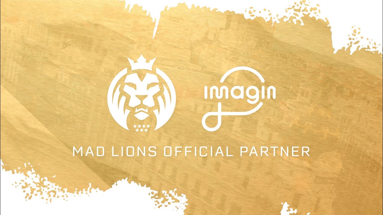 MAD Lions imagin