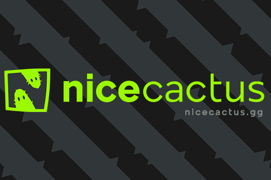 Nicecactus: Connecting with an audience of digital natives