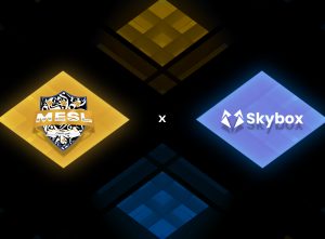 MESL partners with Skybox