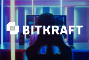 Bitkraft Diversity