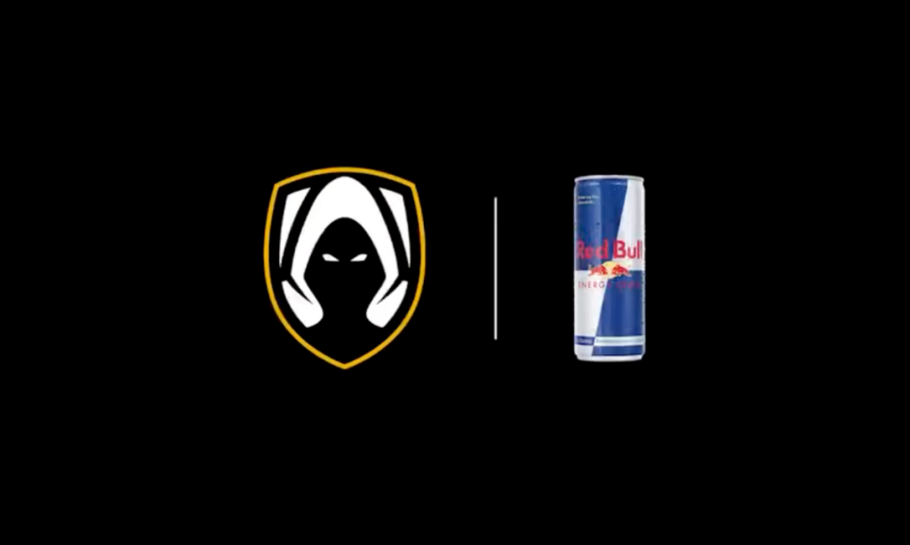 team heretics red bull partnership