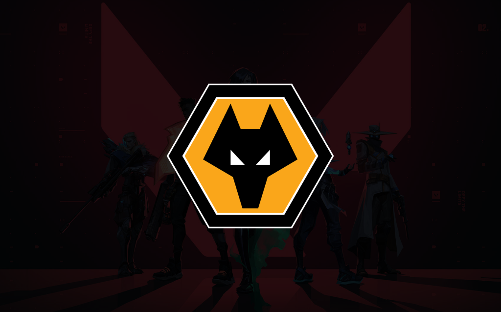 Wolves Esports VCT China