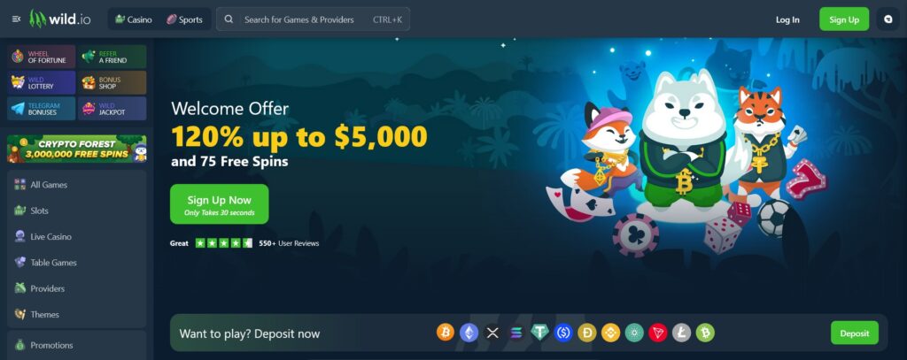 wild.io crypto casino