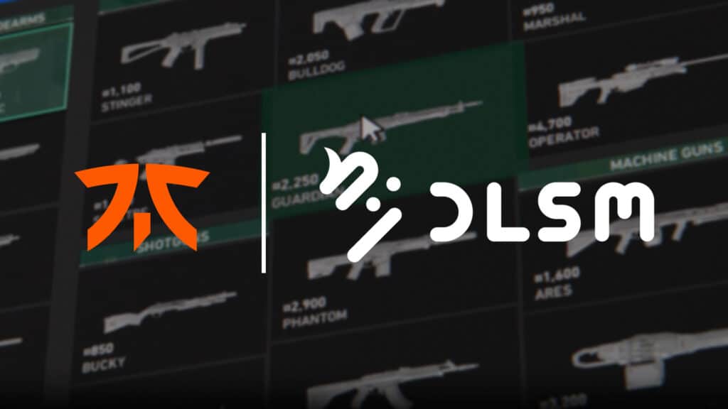Image of Fnatic and DLSM logos on a backround of a VALORANT buy menu