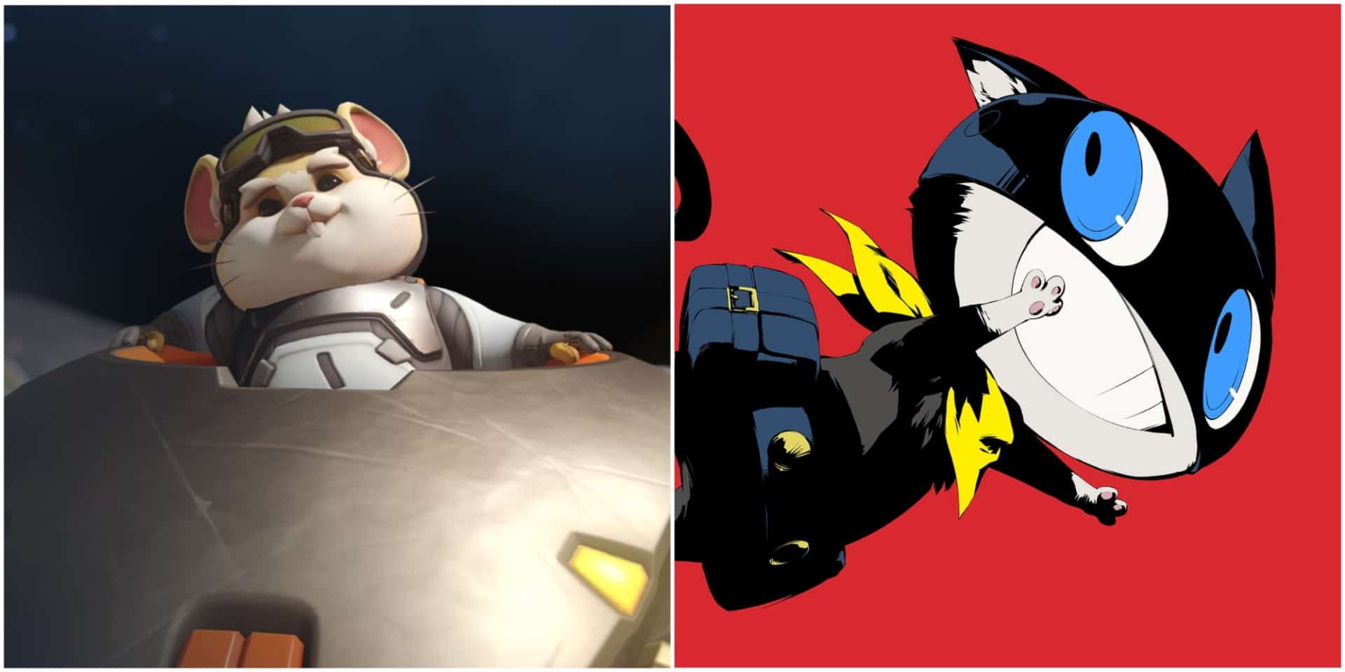 The image is split. On the left, a hamster in a space suit confidently peers over a spacecraft edge. On the right, a cartoon cat with a mask and big eyes joyfully leaps against a red background