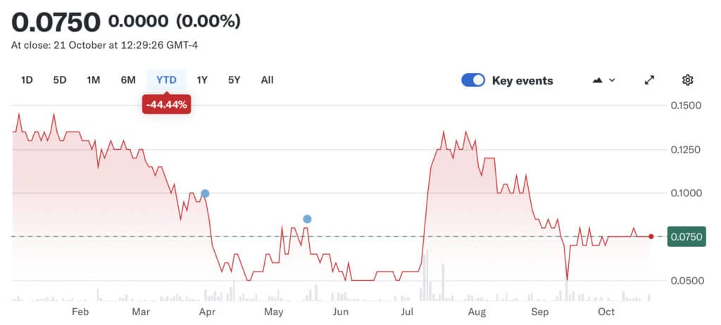 Line graph showing a stock price decline of -44.44% year-to-date. Price fluctuations from January to October, peaking in July. Current price is $0.0750