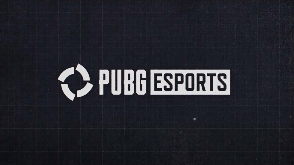 Image of white PUBG Esports logo on a grey background