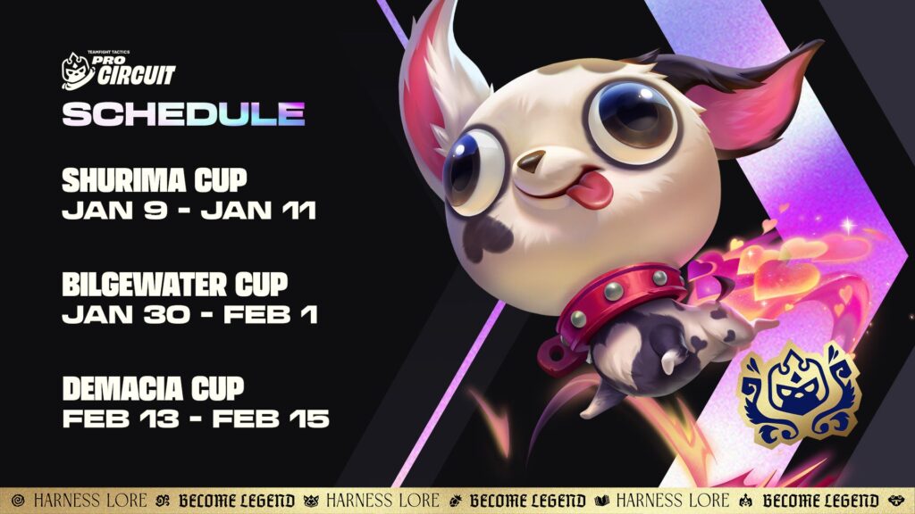 Circuito TFT Conjunto 16 Pro