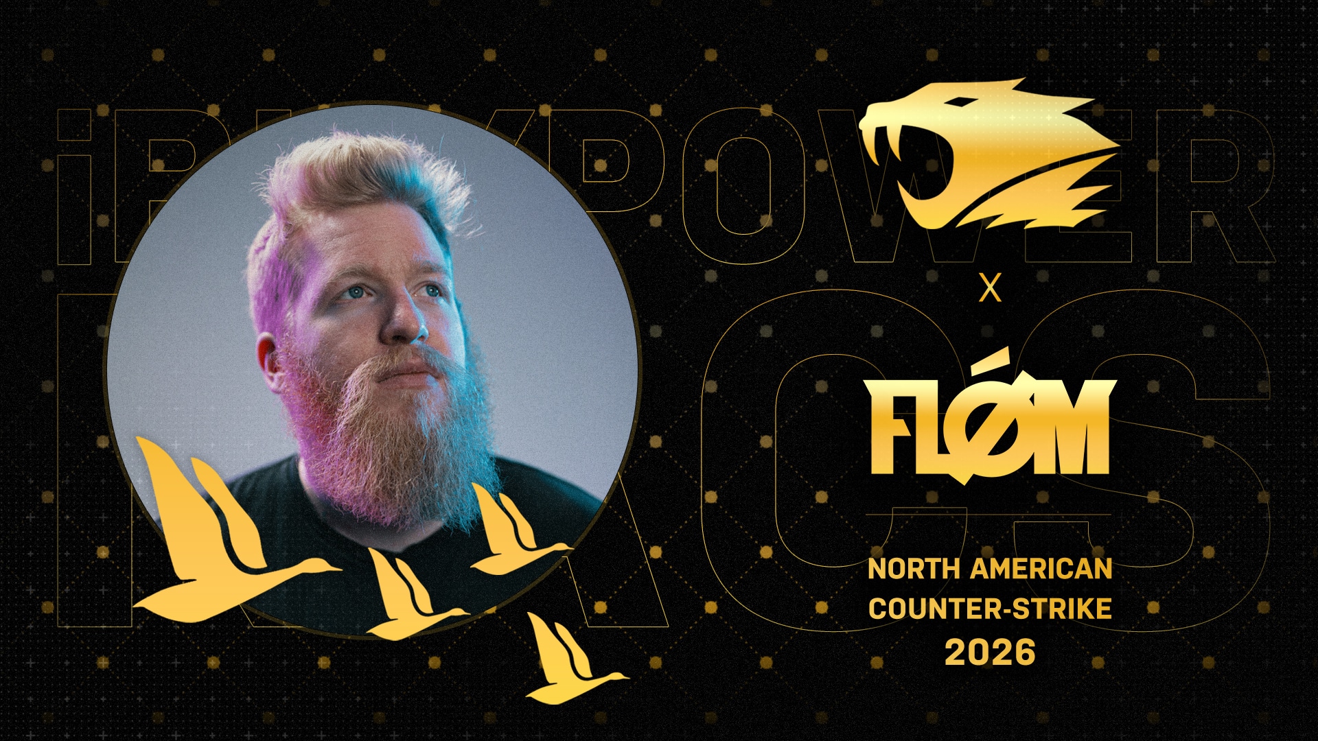 Flom Store: Official Merch \u0026 Vinyl, image size:1920x1080